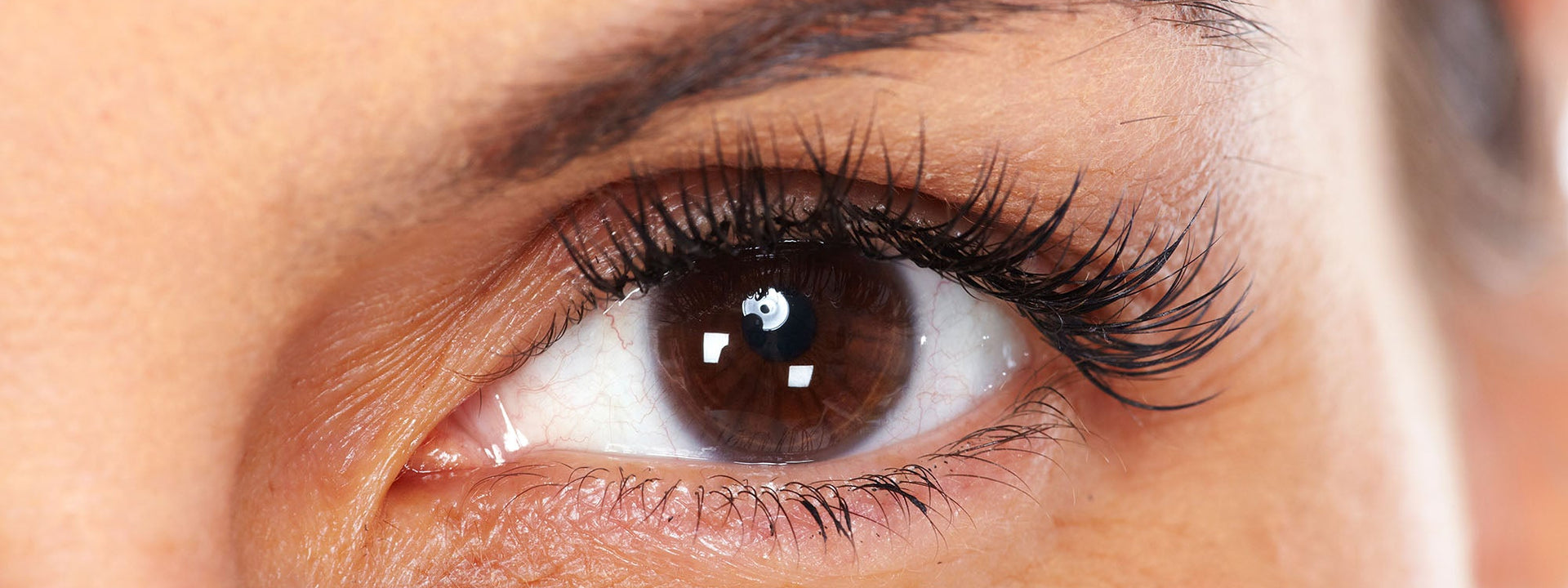 What You Should Know About Double Eyelashes