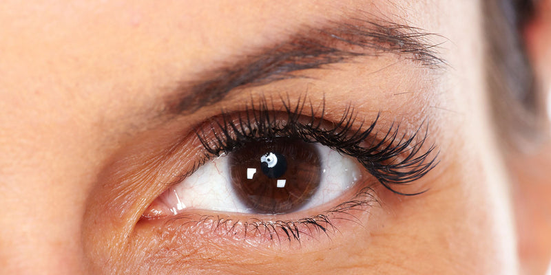 What You Should Know About Double Eyelashes