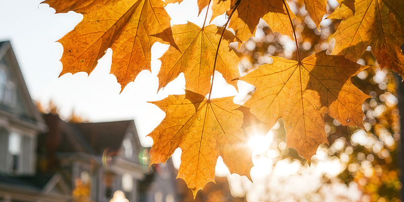 Why Your Eyes Feel Drier in October
