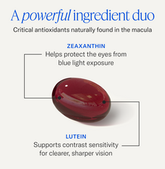 Zeaxanthin + Lutein