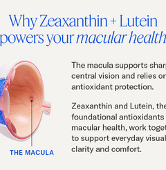Zeaxanthin + Lutein